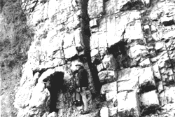 Photograph of nearly vertical limestone beds 
near Ardmore, Oklahoma, that were disturbed from their original horizontal position by mountain 
building and contain Silurian fossil shells